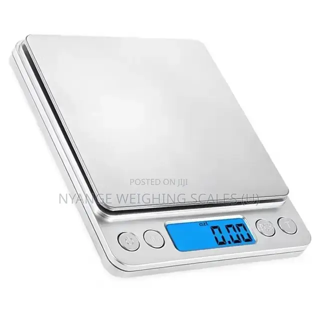 Palm Portable Mineral Weighing Scale (1)