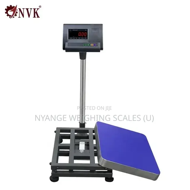 A12e 100kg Weighing Scale Stainless Steel Platform Weighing Scale(1)