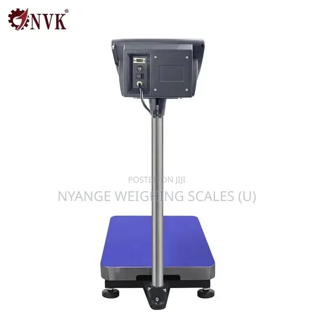 A12e Stainless Steel Platform Weighing Scale (2)