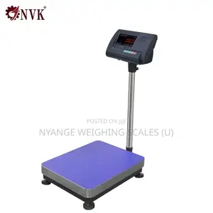 A12e Stainless Steel Platform Weighing Scale(3)