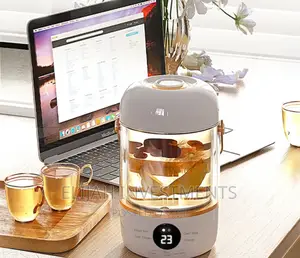 900ML Multifunctional Electric Kettle/Cooker