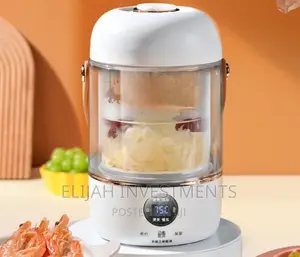 900ML Multifunctional Electric Kettle/Cooker