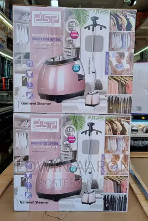 DSP Commercial Garmet Steamer