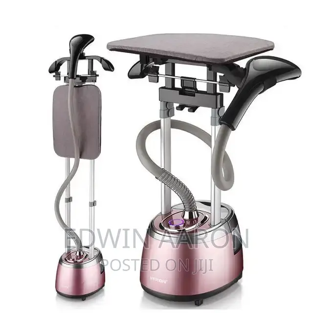 DSP Commercial Garmet Steamer