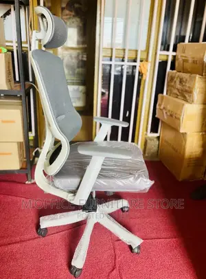 Ergonomic Office Chair