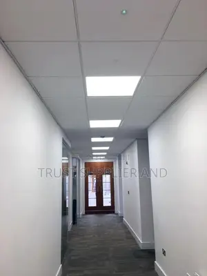 Suspended Ceiling Kungu 4