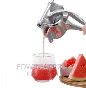 Manual Fruit Press