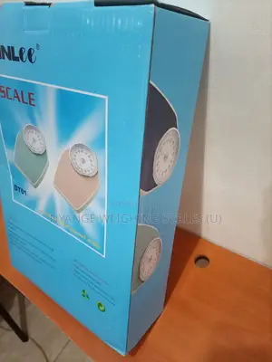 Kinlee Mechanical Weigh Scale Body 160kg Weigh Bathroom Weighing Scale