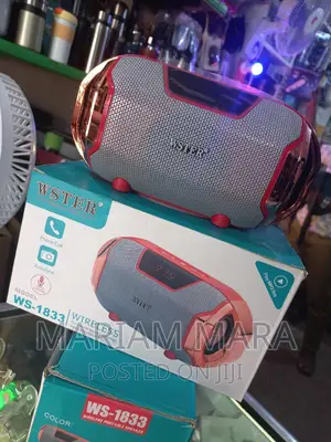Wster 1833 / WS-1833
