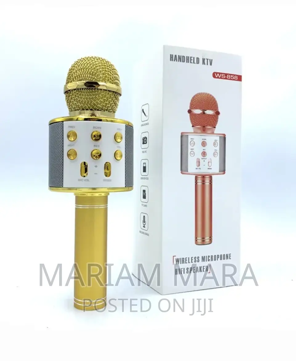 Hand Held KTV Wireless Microphone