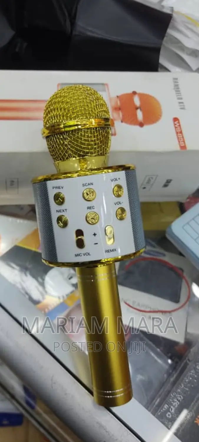 Hand Held KTV Wireless Microphone