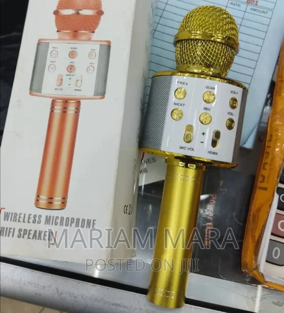 Hand Held KTV Wireless Microphone