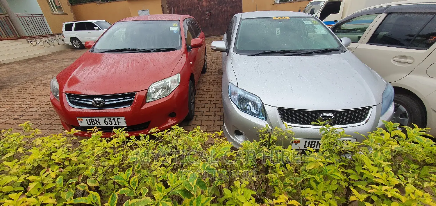 We Offer All Kinds of Cars for Rental Both Short Long Term