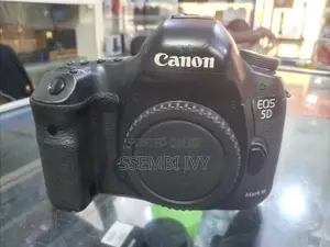 CANON EOS 5D Mark Iii Body (Professional Camera)