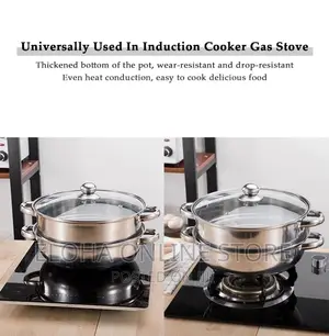2 Layer Steamer and Cooking Pot