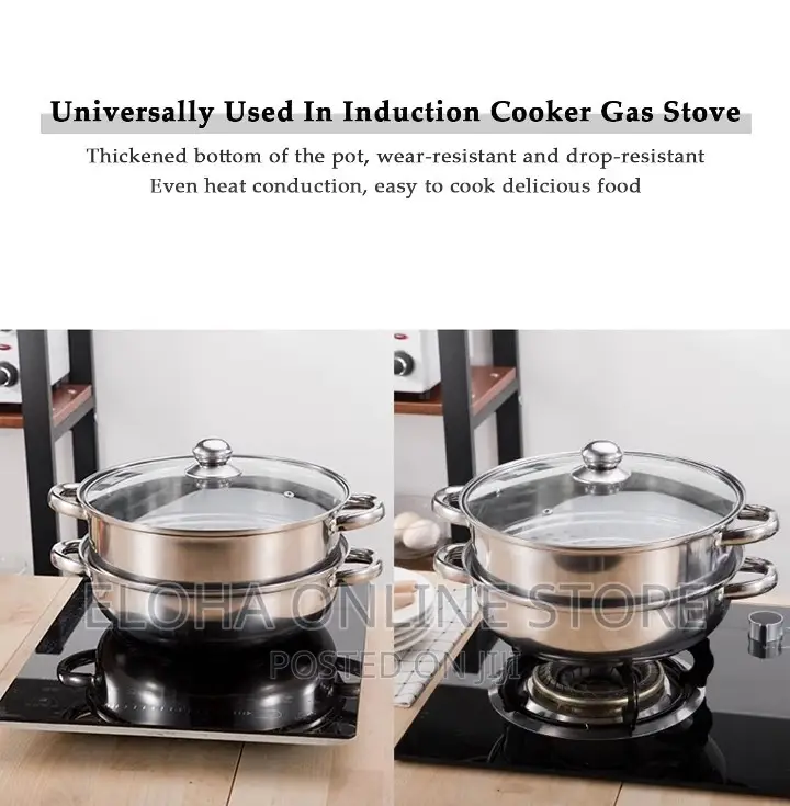 2 Layer Steamer and Cooking Pot