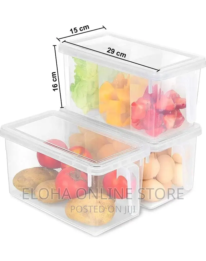 Refrigerator Food Storage Containers