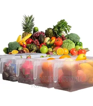 Refrigerator Food Storage Containers