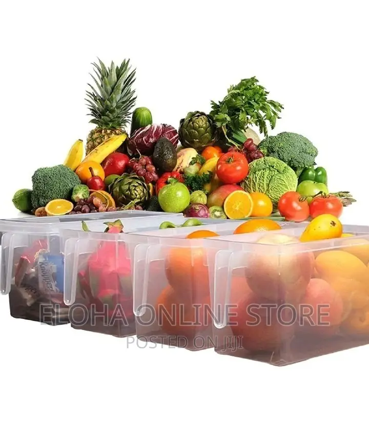 Refrigerator Food Storage Containers