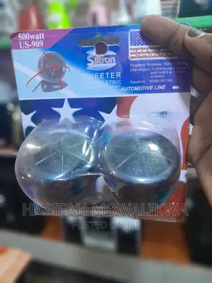 Audio Speakers