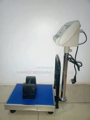 Digital Pricing Weigh 100kg Weighing Scale Digital Weighing Scale