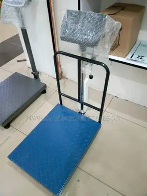 300kg Weighing Scale Digital Platform Weighing Scale A12e (2)