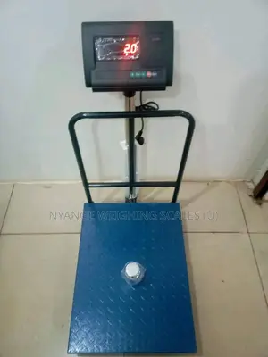 350kg A12e Weighing Scale Digital Platform Weighing Scale (70)