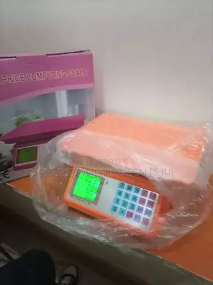 40kg Weigh Scale Price Computing Digital Weighing Scale (50)