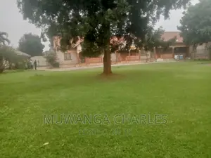 43decimals for Sale in Kisaasi