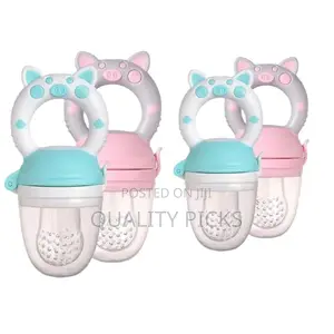 Brand Baby Fruit Feeder