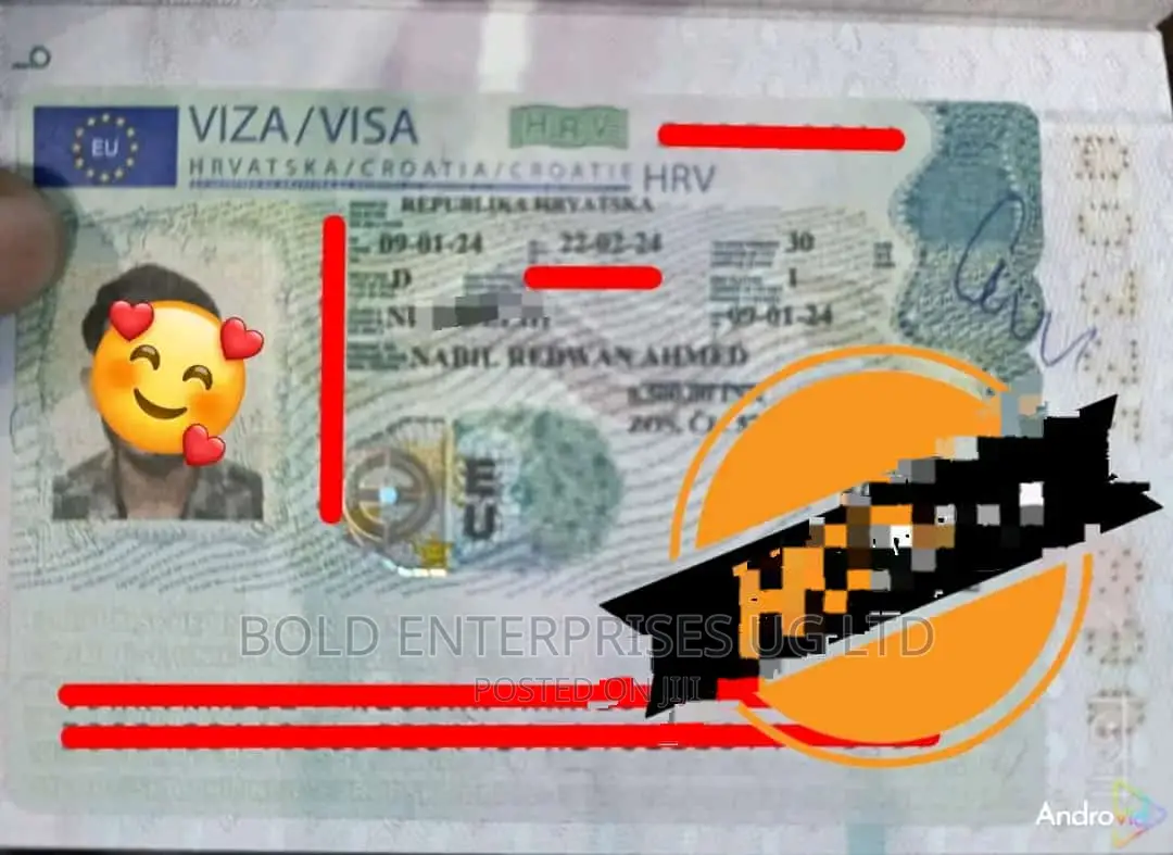 European Union Visa