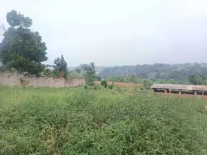 Plots With Ready Private Title Quicksale Namugongo Bukerere