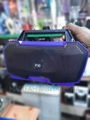 Portable Wireless Speaker P-30