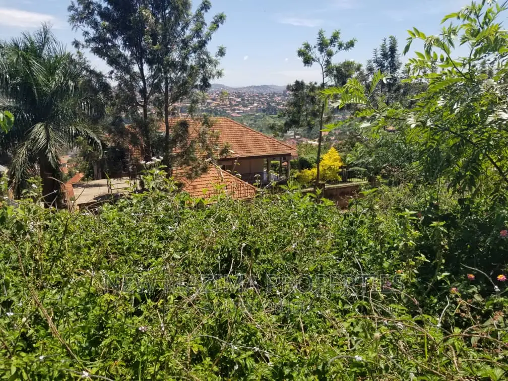 Very Beautiful Plot on Quicksale in Heart of Seguku Heights
