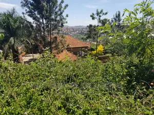 Very Beautiful Plot on Quicksale in Heart of Seguku Heights