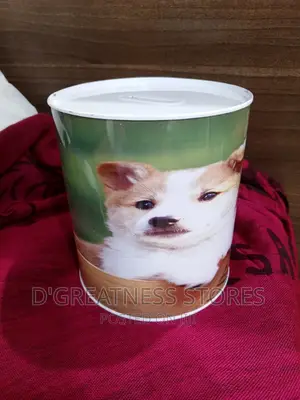 Medium Sized Piggy Banks