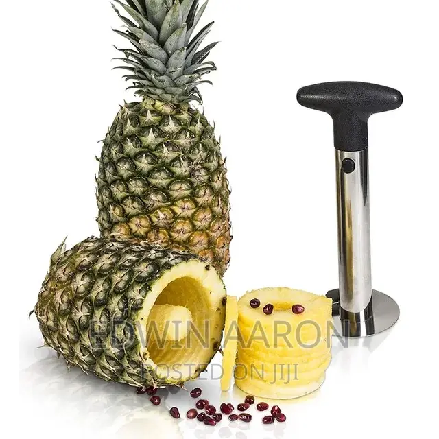 Stainless Steel Pineapple Peeler