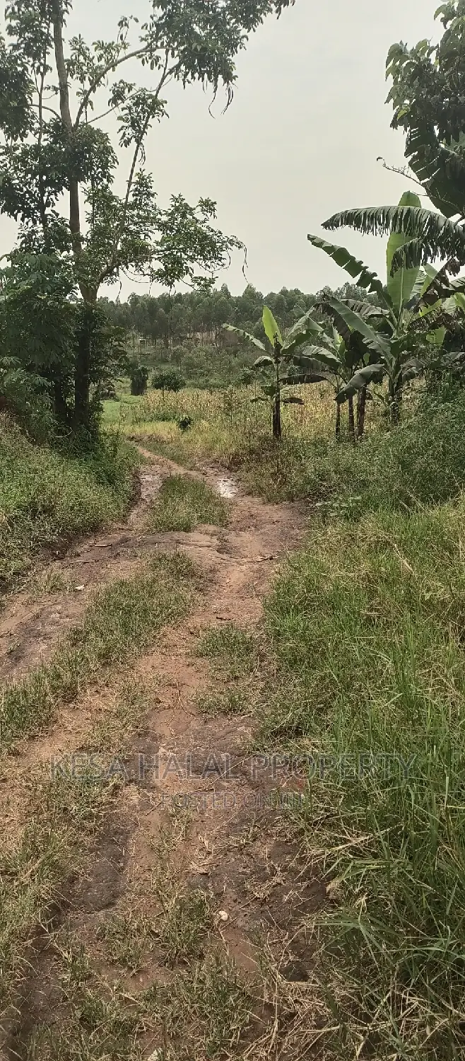 2 Plots Remained 50X100 Just 6M Kalule It Has Water Source