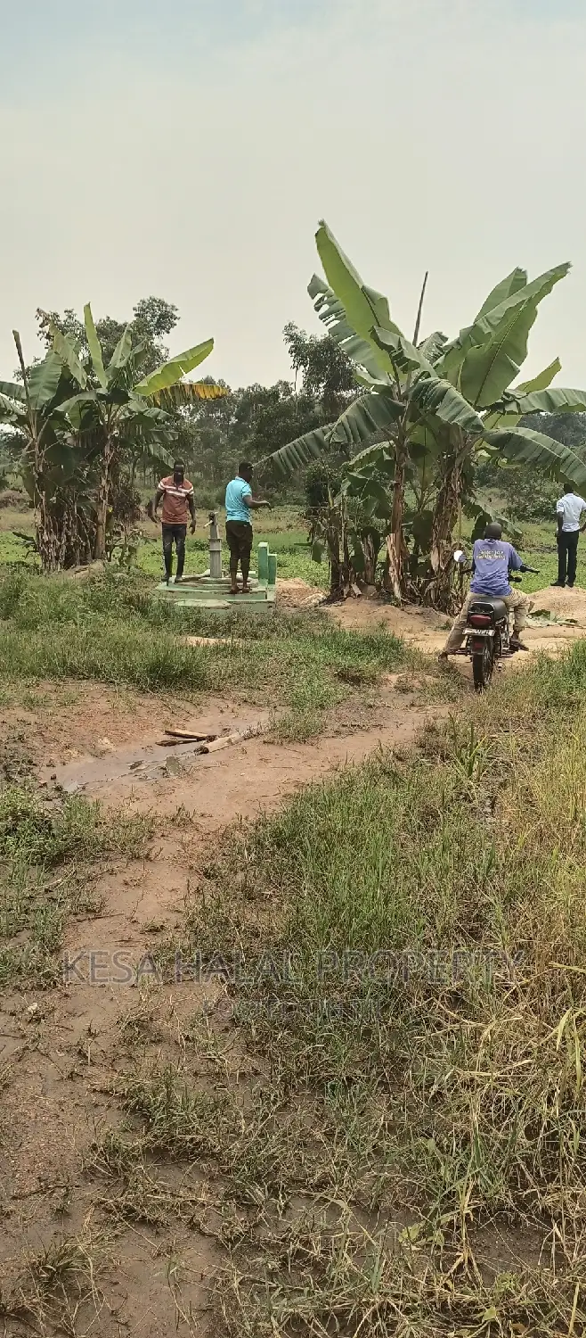 2 Plots Remained 50X100 Just 6M Kalule It Has Water Source