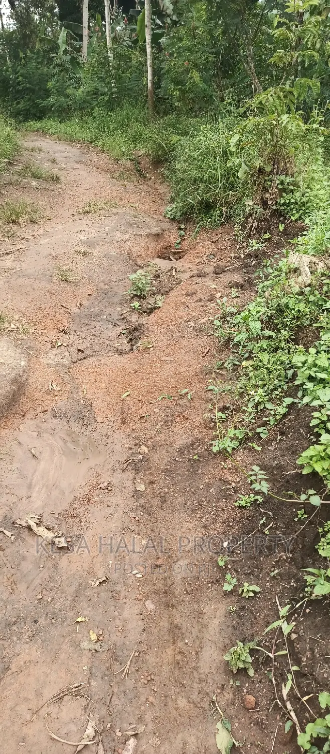 2 Plots Remained 50X100 Just 6M Kalule It Has Water Source