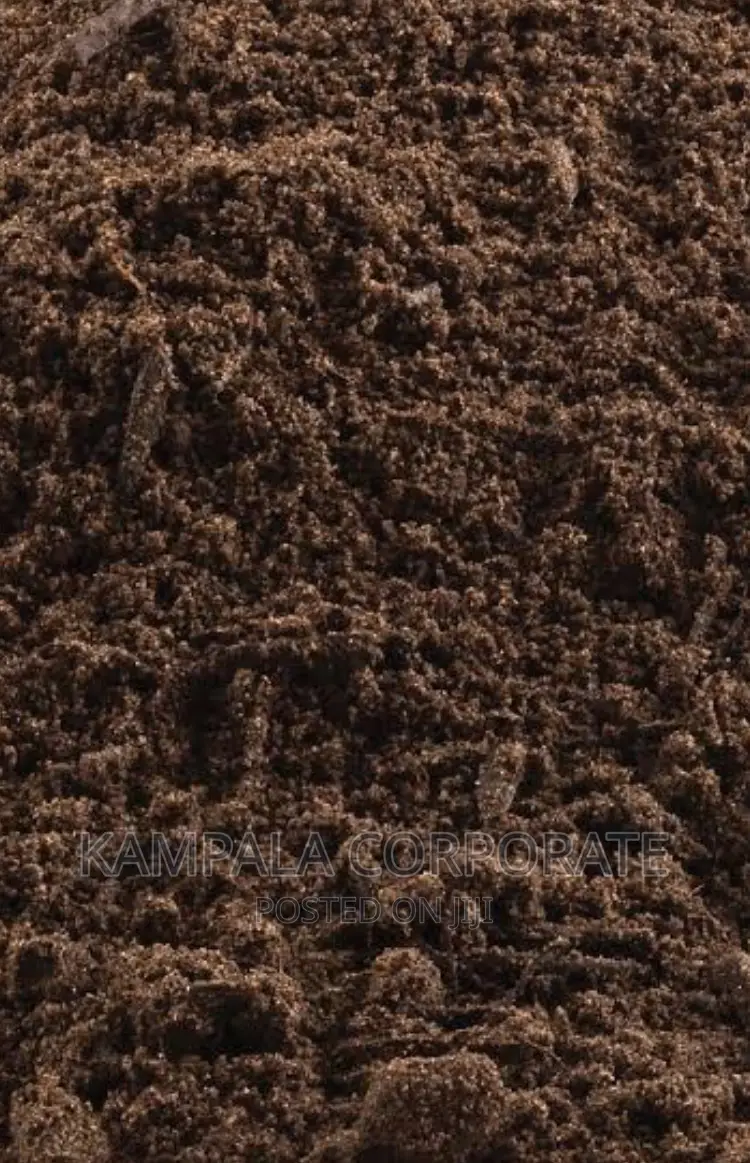 Black Soils for Sale