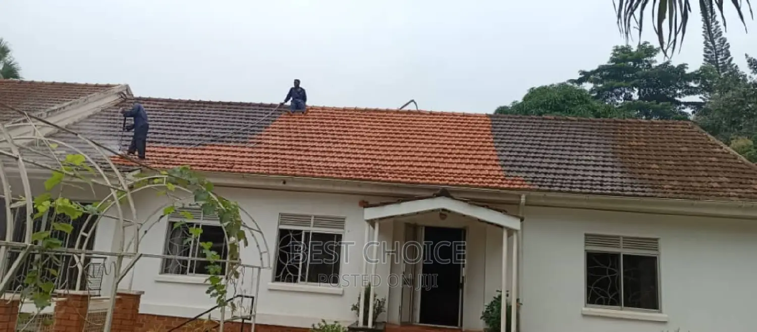 Roof Cleaning Services for Your Home, Business and More.