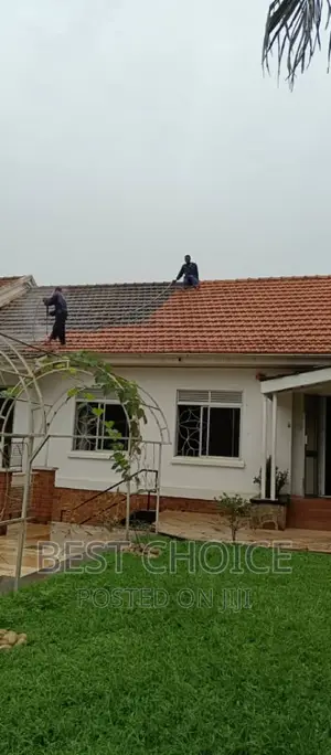 Roof Cleaning Services for Your Home, Business and More.