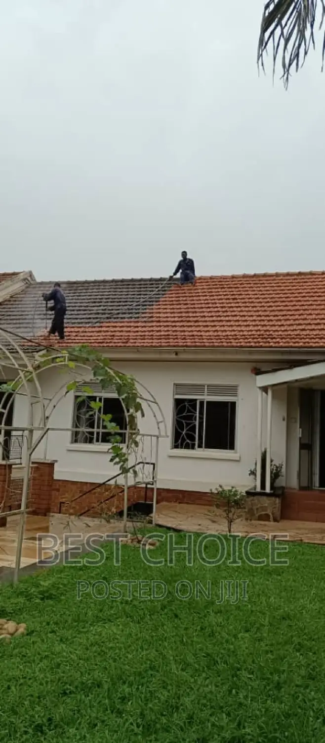 Roof Cleaning Services for Your Home, Business and More.