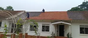 Roof Cleaning Services for Your Home, Business and More.