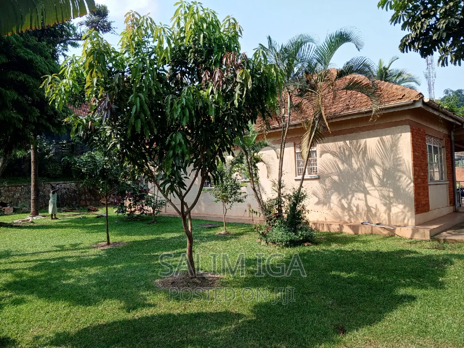 3bdrm Bungalow in Kololo Property, Central Division for rent