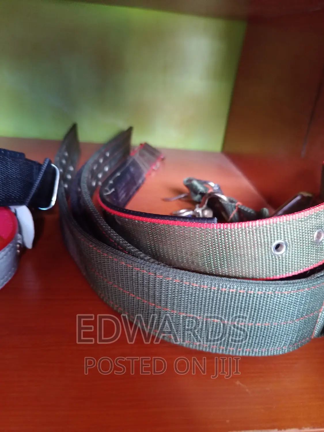 Dog Collars Strong