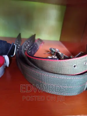 Dog Collars Strong