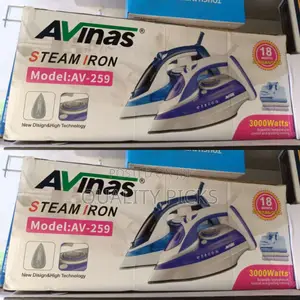 Electric Brand Steam Iron