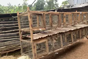 10 Roomed Cage